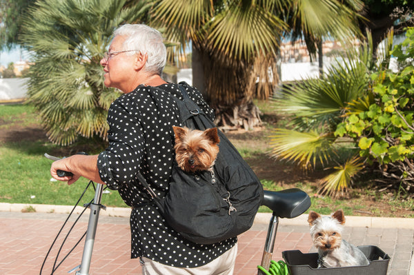 Your old furry friend will LOVE this new carrier