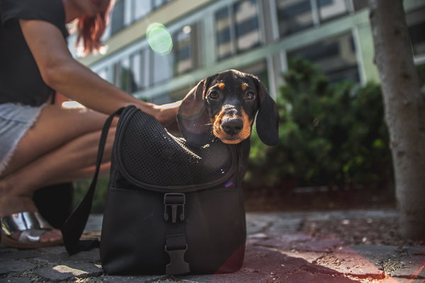 Carriers for large size